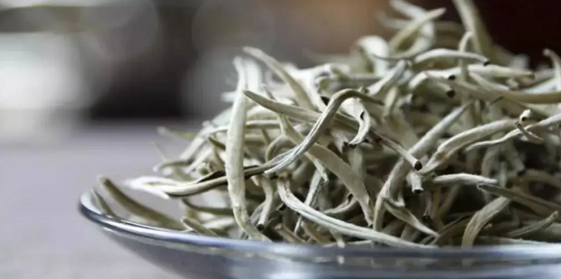 The Production Method OF White Tea