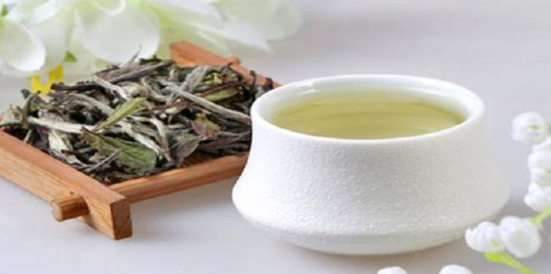 Differences and Connections Between Green Tea and White Tea