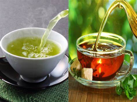 The Distinctive Differences and Intrinsic Ties Between Green Tea and Dark Tea