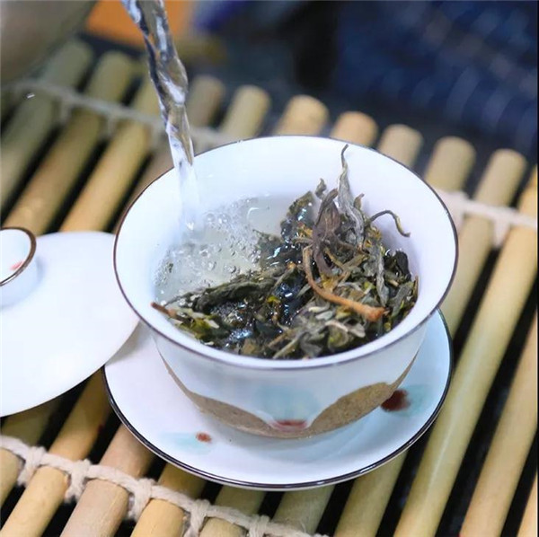 The Distinctions and Connections Between White Tea and Black Tea