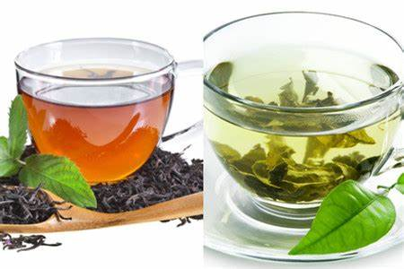 The Difference and Connection Between Green Tea and Black Tea